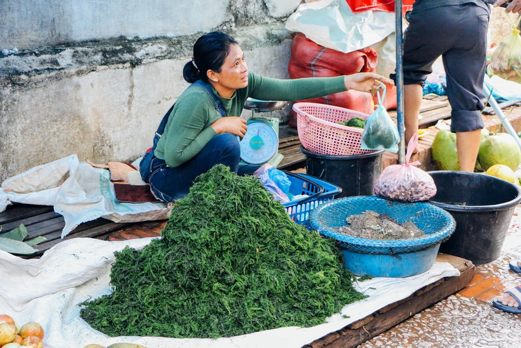 ตลาดเช้า หลวงพระบาง