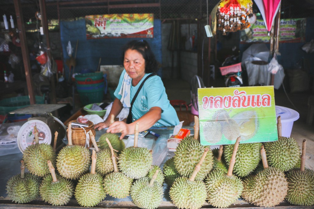 ทุเรียนหลงลับแล