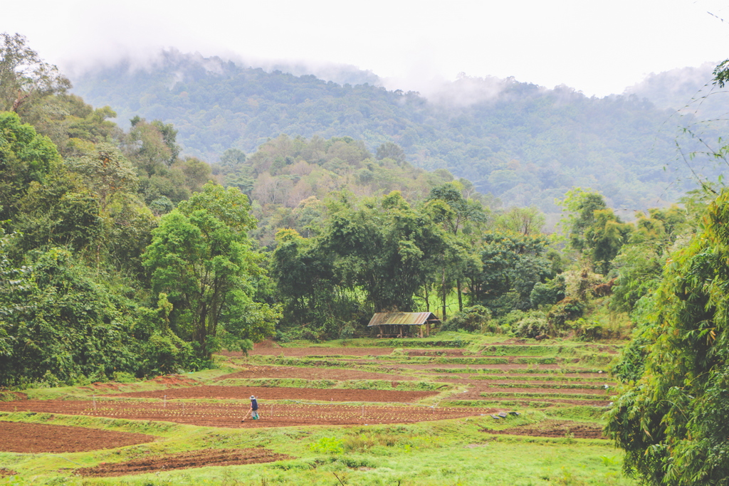 Hmong Hilltribe Lodge