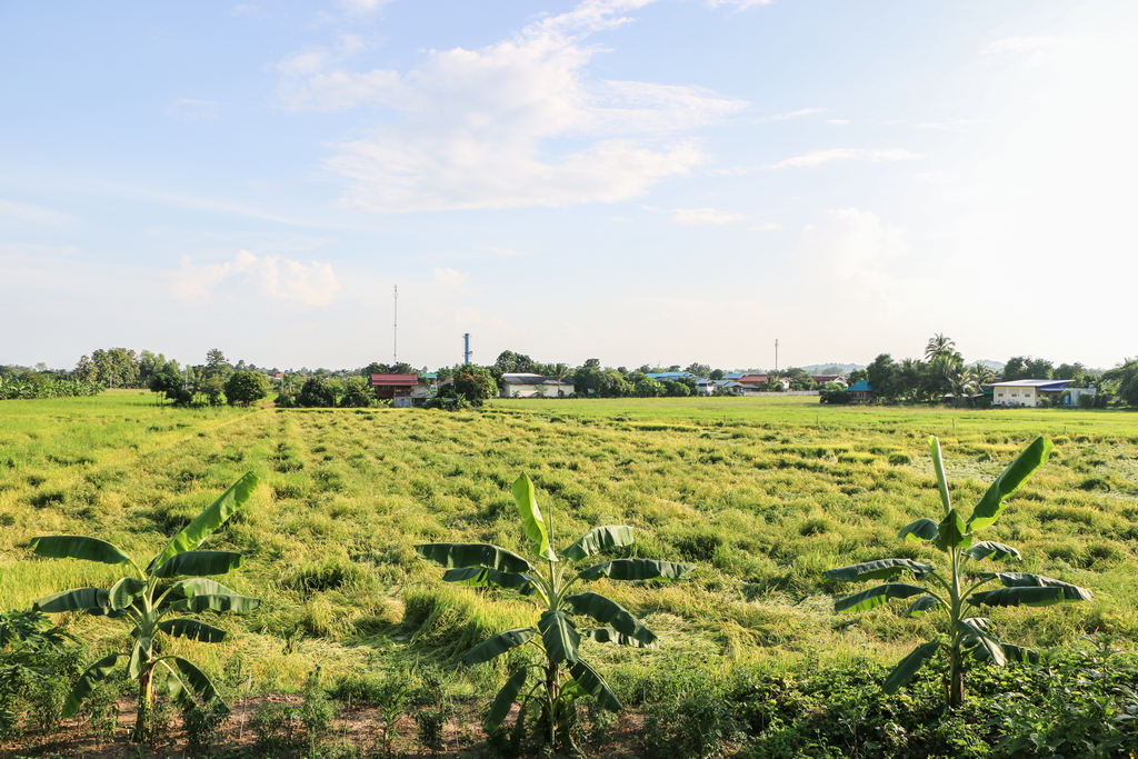 บ้านหอมกลิ่นดิน