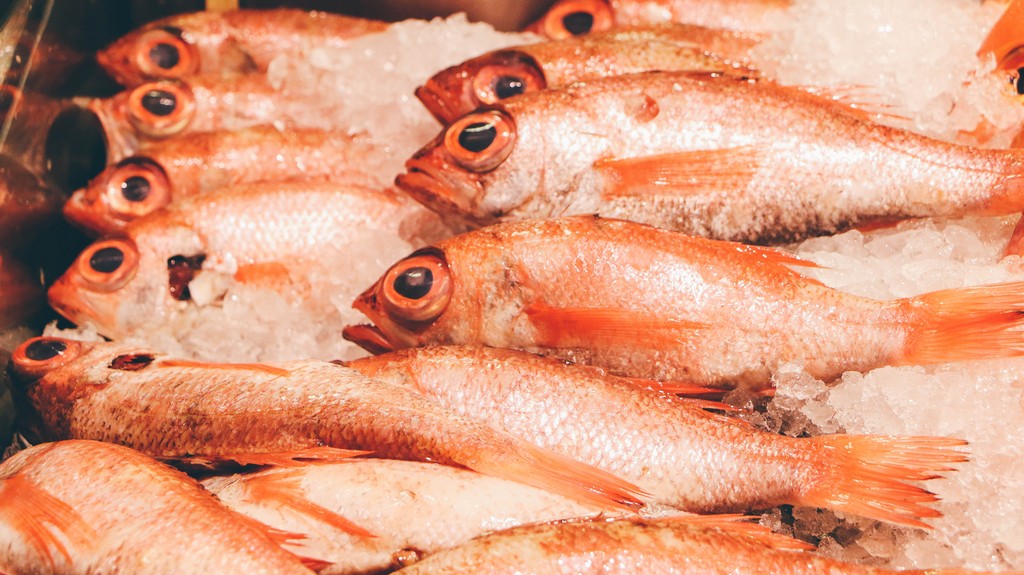 Taipei Fish Market