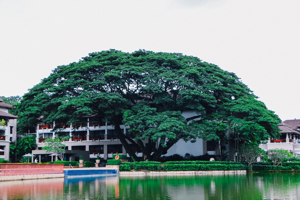 Le Meridien Chiang Rai