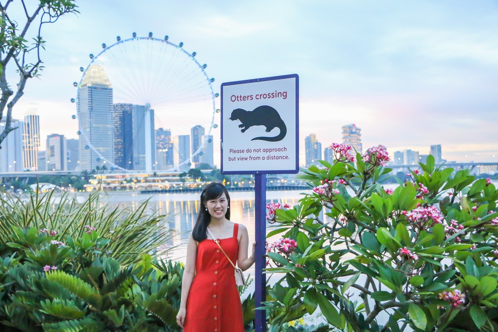 Garden by The Bay สิงคโปร์