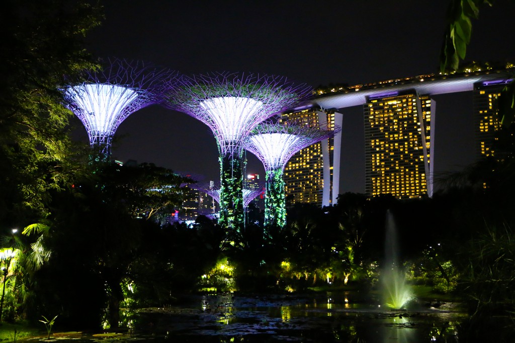 Garden by The Bay สิงคโปร์