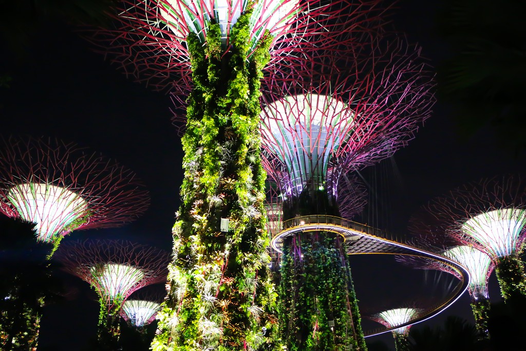 Garden by The Bay สิงคโปร์